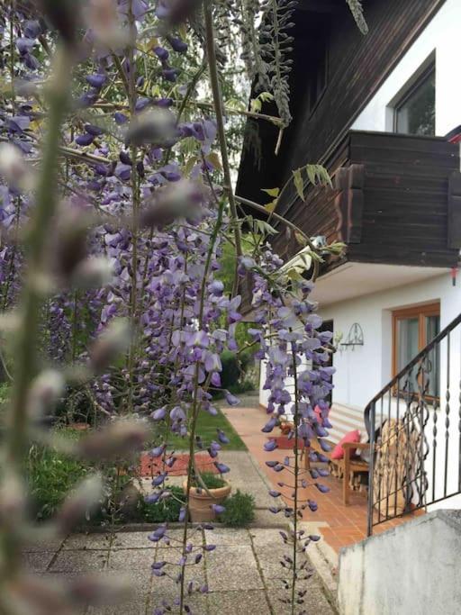 Charmantes Landhaus Mit Garten Und Traumhaftem Fernblick Thal  Dış mekan fotoğraf