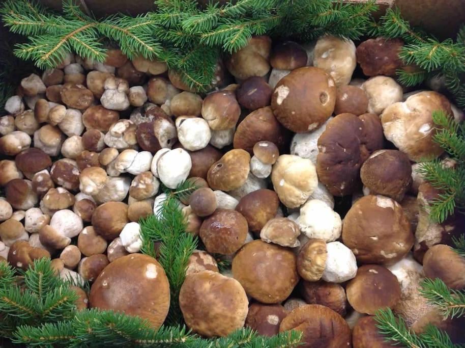 Charmantes Landhaus Mit Garten Und Traumhaftem Fernblick Thal  Dış mekan fotoğraf