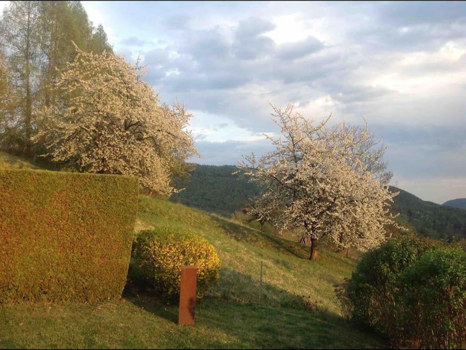 Charmantes Landhaus Mit Garten Und Traumhaftem Fernblick Thal  Dış mekan fotoğraf