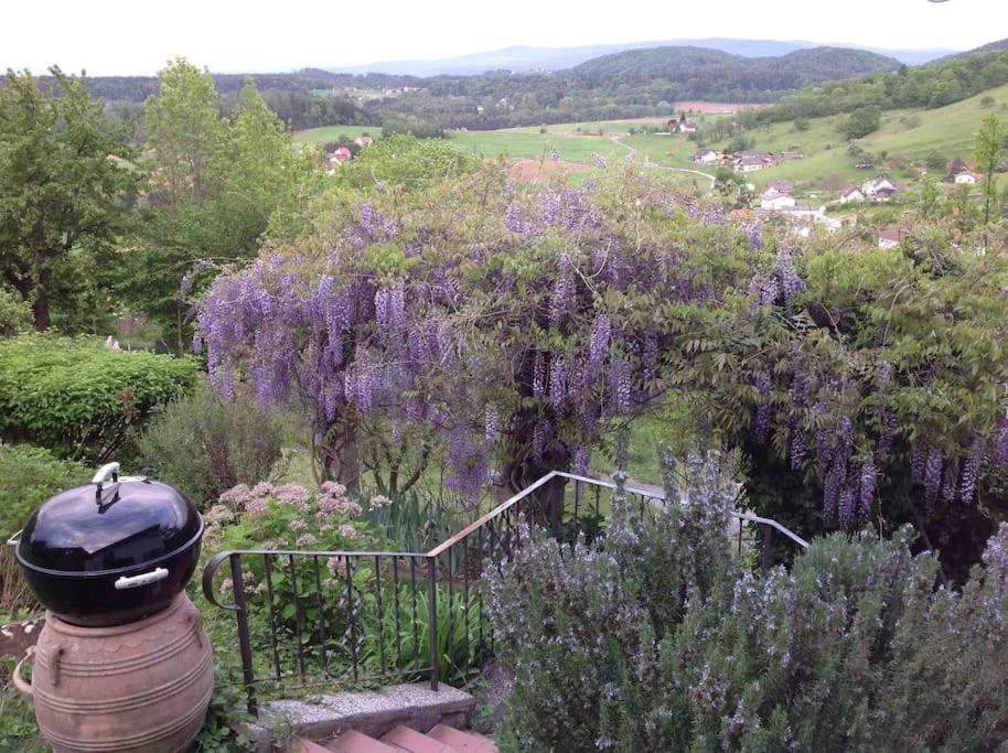 Charmantes Landhaus Mit Garten Und Traumhaftem Fernblick Thal  Dış mekan fotoğraf
